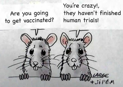 Two Rats - Regarding Vaccination